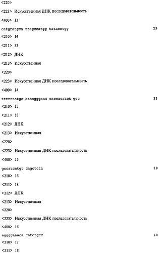 Микроорганизм-носитель нуклеотидных последовательностей, кодирующих антигены и белковые токсины (патент 2447145)