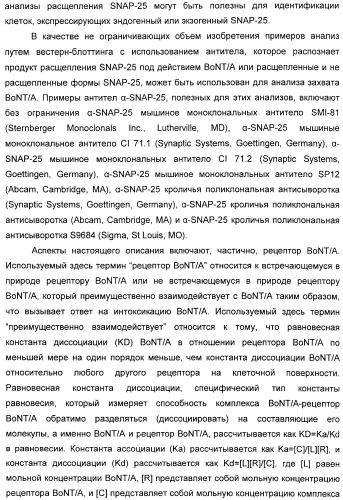 Иммунологические анализы активности ботулинического токсина серотипа а (патент 2491293)