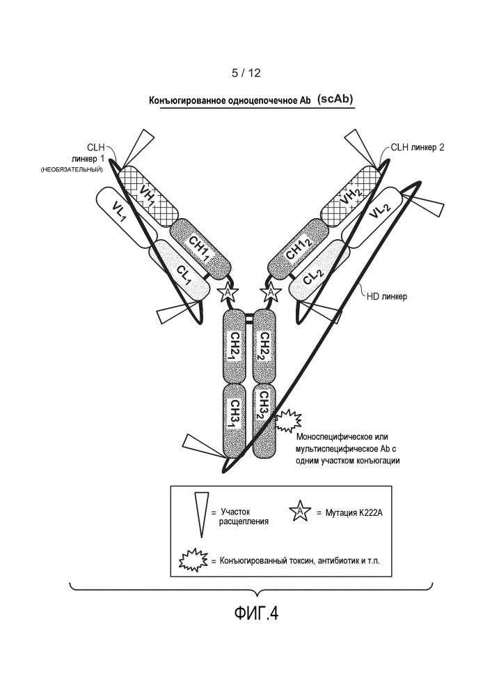 Одноцепочечные антитела и другие гетеромультимеры (патент 2644341)