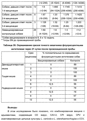 Поливалентные вакцины для собак против leptospira bratislava и других патогенов (патент 2400248)