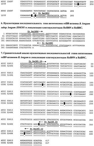 Способ видовой и штаммовой идентификации бифидобактерий филотипа bifidobacterium longum (патент 2527069)