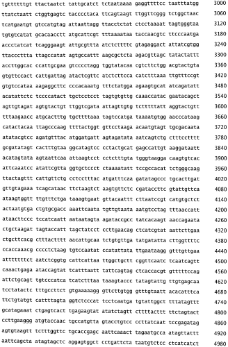 Бактериофаг, обладающий активностью против pseudomonas aeruginosa, белки бактериофага и способы их применения (патент 2580248)