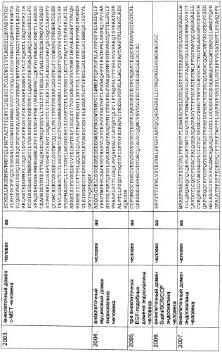 Pscaxcd3, cd19xcd3, c-metxcd3, эндосиалинxcd3, epcamxcd3, igf-1rxcd3 или fap-альфаxcd3 биспецифическое одноцепочечное антитело с межвидовой специфичностью (патент 2547600)