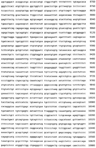 Применение s1p (патент 2362565)