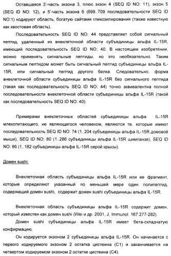 Соединение, предназначенное для стимуляции пути передачи сигнала через il-15rбета/гамма, с целью индуцировать и/или стимулировать активацию и/или пролиферацию il-15rбета/гамма-положительных клеток, таких как nk-и/или t-клетки, нуклеиновая кислота, кодирующая соединение, вектор экспрессии, клетка-хозяин, адъювант для иммунотерапевтической композиции, фармацевтическая композиция и лекарственное средство для лечения состояния или заболевания, при котором желательно повышение активности il-15, способ in vitro индукции и/или стимуляции пролиферации и/или активации il-15rбета/гамма-положительных клеток и способ получения in vitro активированных nk-и/или t-клеток (патент 2454463)