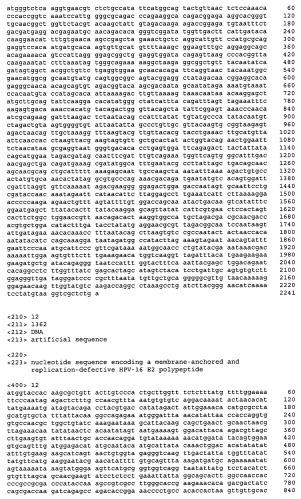 Векторы для множественной генной экспрессии (патент 2462513)