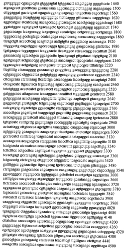 Модуляция экспрессии гентингтина (патент 2562861)