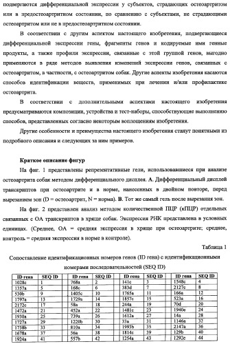 Гены, связанные с остеоартритом собак, и относящиеся к этому способы и композиции (патент 2341795)