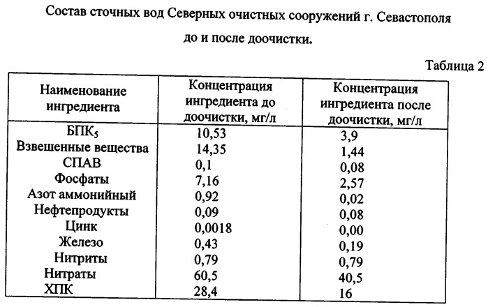 Способ биологической доочистки сточных вод (патент 2541451)