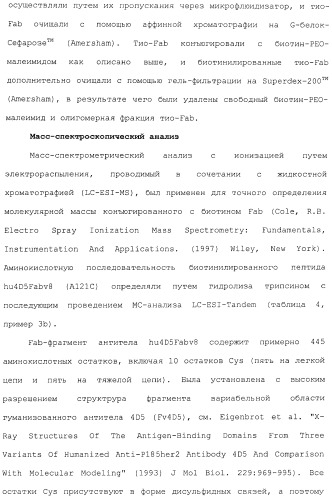 Антитела, сконструированные на основе цистеинов, и их конъюгаты (патент 2412947)