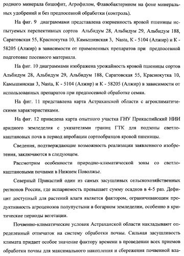 Способ возделывания яровой пшеницы предпочтительно в зоне светло-каштановых почв нижнего поволжья (варианты) (патент 2348137)