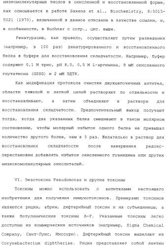 Scfv против egfrviii с улучшенной цитотоксичностью и выходом, иммунотоксины на их основе и способы их применения (патент 2317999)