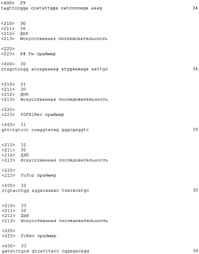 Fgf-r-fc слитый белок и его использование (патент 2560573)