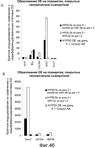 Дифференцировка человеческих эмбриональных стволовых клеток (патент 2473685)