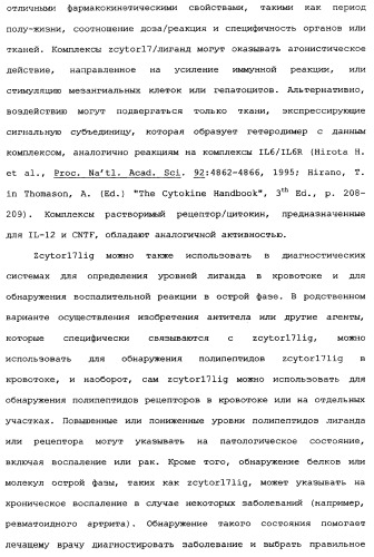 Новый лиганд рецептора цитокина zcytor17 (патент 2360923)