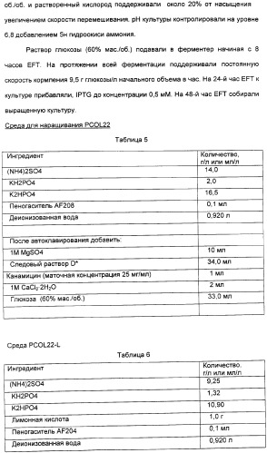 Продуцирование il-21 в прокариотических клетках-хозяевах (патент 2354703)