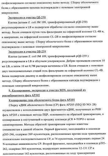 Композиции вакцин, содержащие наборы антигенов в виде амилоида бета 1-6 (патент 2450827)