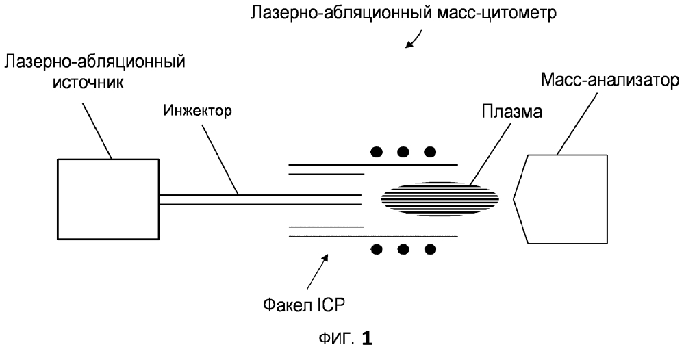 Анализ образцов для масс-цитометрии (патент 2637795)