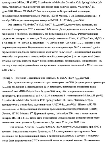 Способ получения l-треонина с использованием бактерии, принадлежащей к роду escherichia (патент 2338783)