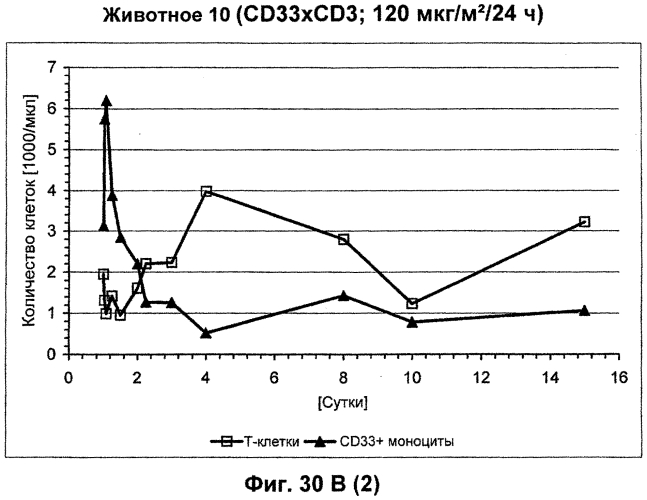 Cd3-эпсилон-связывающий домен с межвидовой специфичностью (патент 2561457)