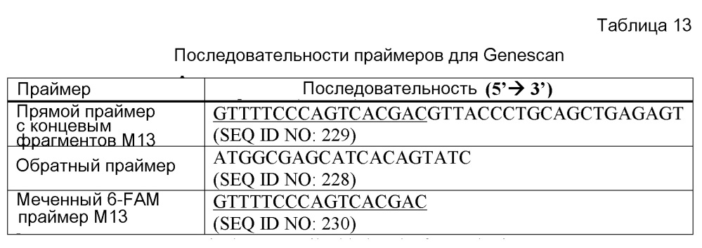 Генетический тест накопления меди в печени у собак (патент 2662660)