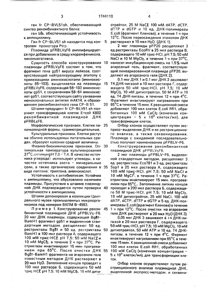 Рекомбинантная плазмидная днк @ frblv @ f6, кодирующая слитый белок оболочки бактериофага @ и белок оболочки @ 51 вируса лейкоза крупного рогатого скота, способ ее конструирования и штамм бактерий еsснеriснiа coli - продуцент слитого белка оболочки бактериофага @ и белок оболочки @ 51 вируса лейкоза крупного рогатого скота (патент 1744110)