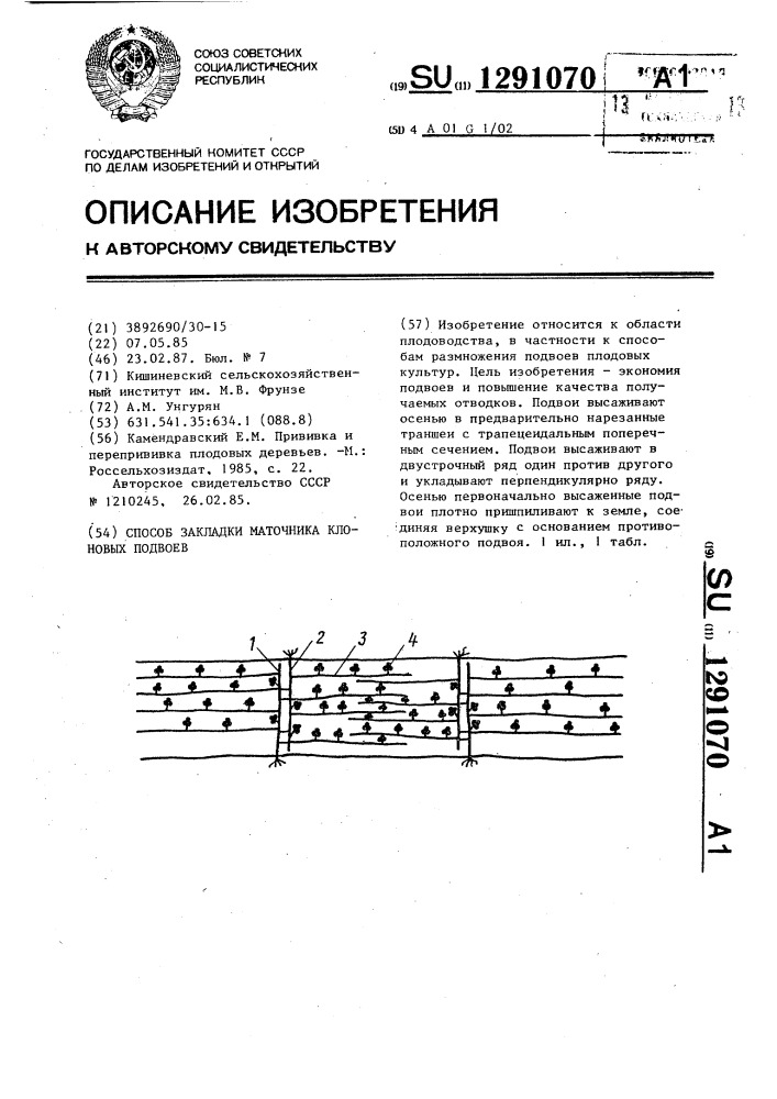 Способ закладки маточника клоновых подвоев (патент 1291070)