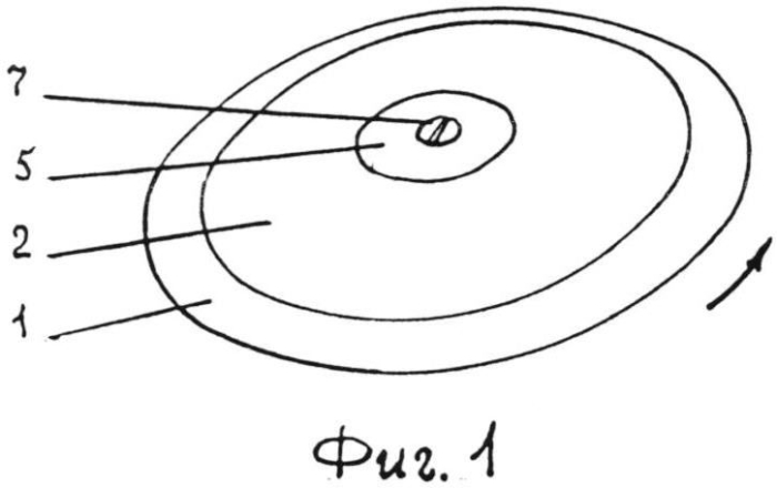 Диск для метания (патент 2556493)