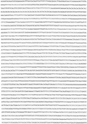 Применение s1p (патент 2362565)