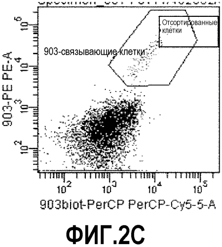 Способ идентификации иммунных связывающих веществ поверхностных антигенов клетки (патент 2577965)