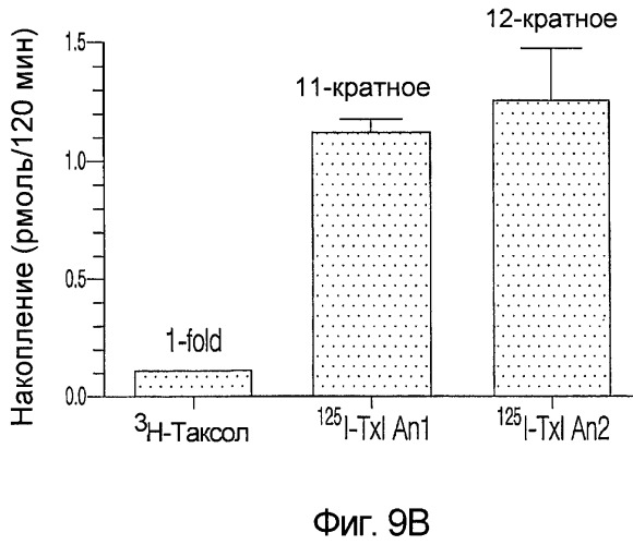 Усиление действия противораковых агентов (патент 2422143)