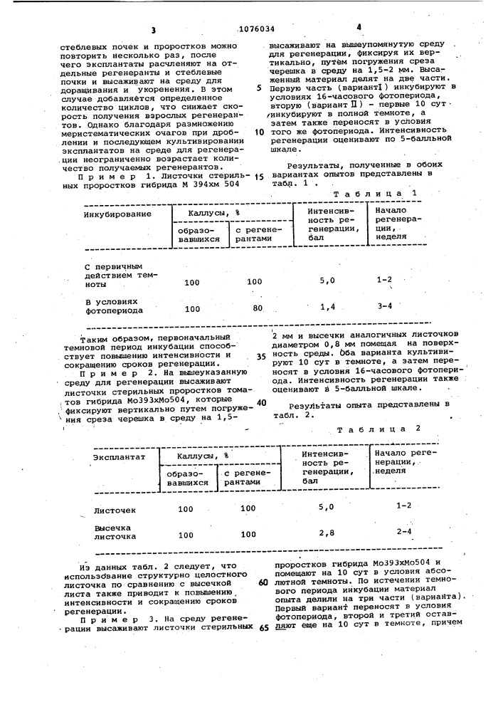 Способ выращивания растений томатов @ @ (патент 1076034)