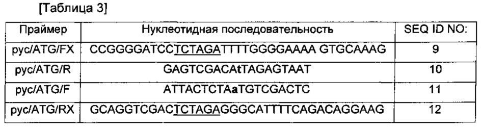 Способ получения l-лизина с использованием микроорганизмов, обладающих способностью продуцировать l-лизин (патент 2615454)