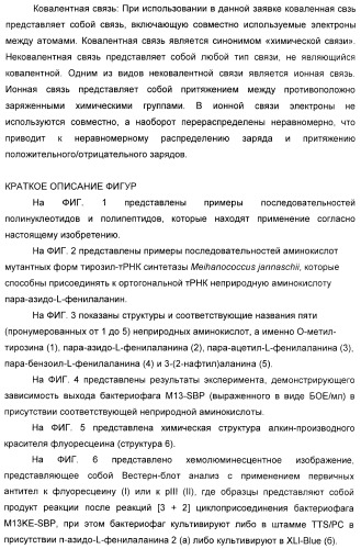 Селективная посттрансляционная модификация экспонируемых фагами полипептидов (патент 2459866)