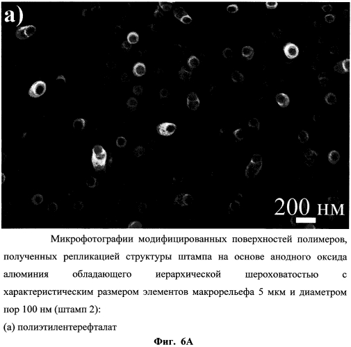 Штамп для морфологической модификации полимеров, споособ его получения и способ формирования супергидрофильных и супергидрофобных самоочищающихся покрытий с его использованием (патент 2550871)