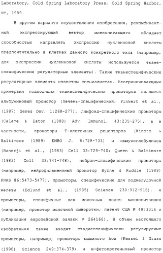 Гены corynebacterium glutamicum, кодирующие белки метаболических путей (патент 2306339)