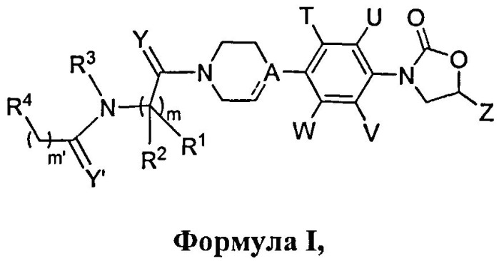 Новые противомикробные средства (патент 2522582)