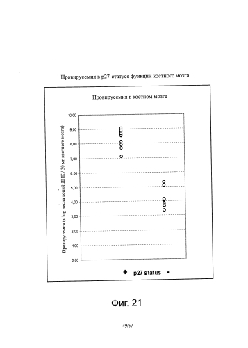 Рекомбинантная вакцина вируса лейкемии кошек, содержащая оптимизированный ген оболочки вируса лейкемии кошек (патент 2591817)