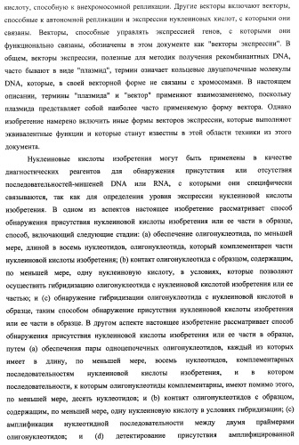 Гены и белки brachyspira hyodysenteriae и их применение (патент 2440369)