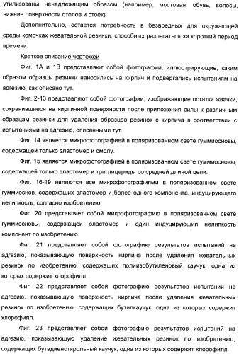 Разлагаемая жевательная резинка (патент 2398441)