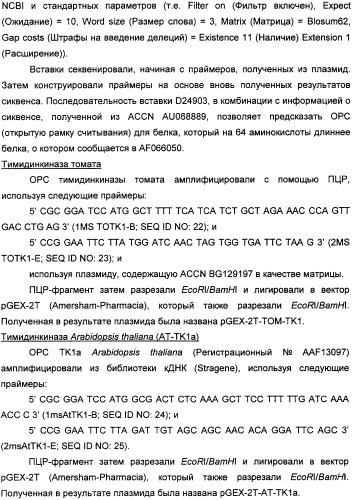 Растительные тимидинкиназы и их применение (патент 2339695)
