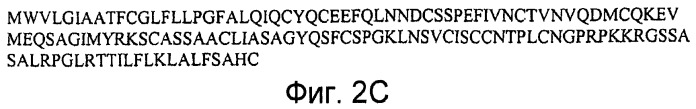 Способы выявления воспалительного заболевания кишечника (патент 2502806)