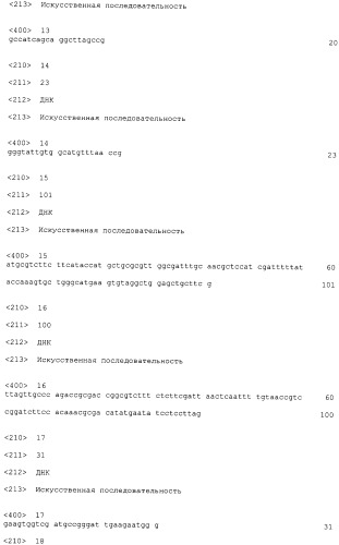 Бактерия escherichia coli для получения 1,2-пропандиола, способ ее получения, способ получения 1,2-пропандиола (патент 2407793)