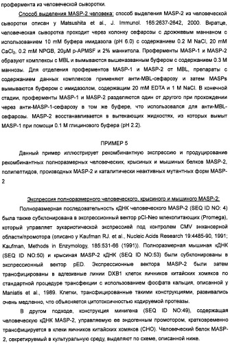 Способ лечения заболеваний, связанных с masp-2-зависимой активацией комплемента (варианты) (патент 2484097)