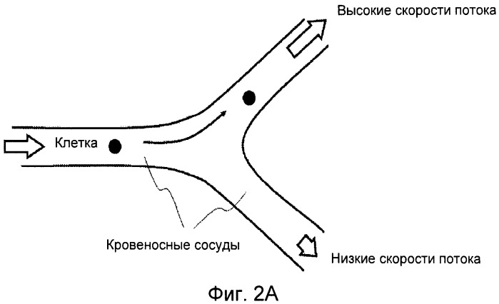 Система и способ фильтрации частиц (патент 2539989)