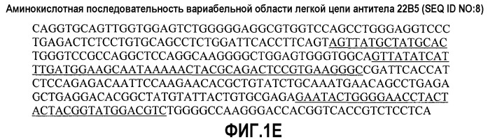 Антитела против альфа5-бета 1 и их применение (патент 2528736)