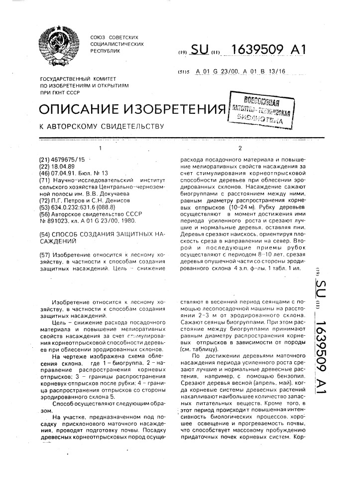 Способ создания защитных насаждений (патент 1639509)