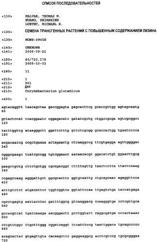 Семена трансгенных растений с повышенным содержанием лизина (патент 2460281)