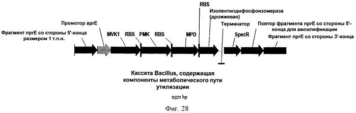 Топливные композиции, содержащие производные изопрена (патент 2531623)