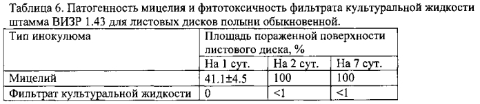 Штамм гриба phoma ligulicola var.inoxydabilis boerema, обладающий микогербицидной активностью против полыни обыкновенной (патент 2588470)